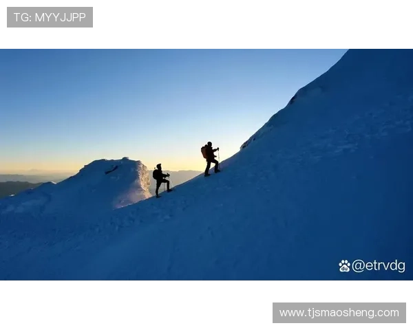 攀岩之路:杨娜如何在挑战中找到自我与激情