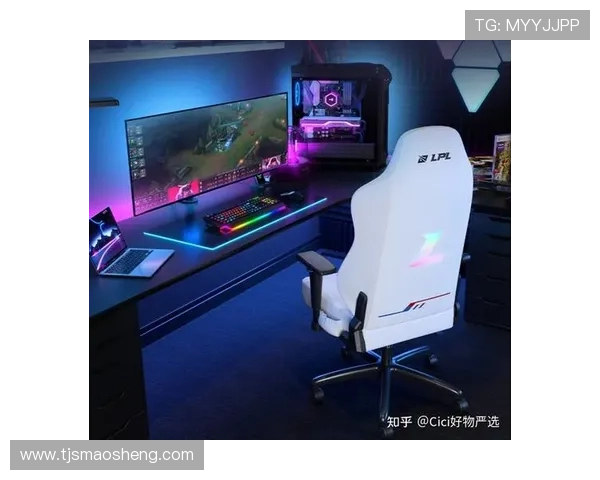 提升游戏体验DOTA2装备选购中的电竞椅推荐与评测指南